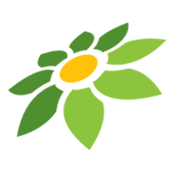 LOGO GUILD ML